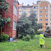 Топографическая съёмка в Дрезне